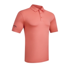 Spiced Coral (696)