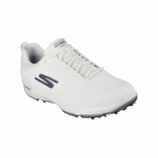 White/Grey
