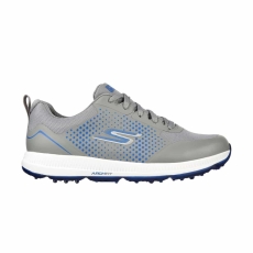 Grey/Blue