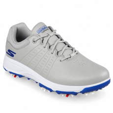 Grey/Blue