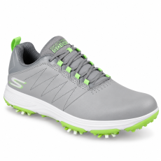 Grey/Lime